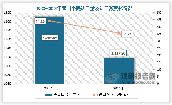 數(shù)據(jù)顯示，2024年我國小麥進口量為1117.9萬噸，同比下降7.6%；進口額為35.71億美元，同比下降19.2%。