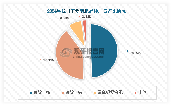 从具体品种来看，我国磷肥产品结构以磷酸一铵和磷酸二铵为主，2024年合计产量占比接近90%。其中磷酸一铵为我国磷肥第一大品种，产量占比约为49.39%。