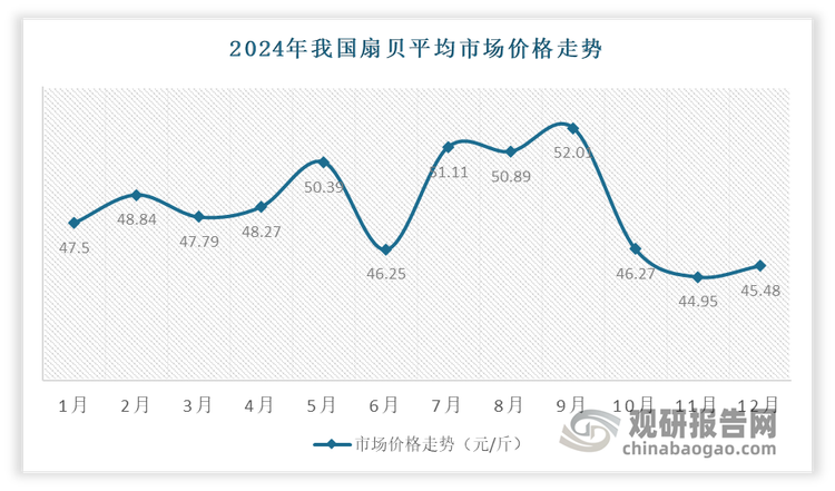 2024年，我國(guó)扇貝平均市場(chǎng)價(jià)格為48.31元/千克，同比增長(zhǎng)9.82%。分月度來(lái)看，2023年全年扇貝價(jià)格同比均高速增加。2024年以來(lái)，上半年扇貝價(jià)格仍然保持了較快增長(zhǎng)勢(shì)頭，但6月價(jià)格出現(xiàn)了顯著下降，降幅超過8%，而進(jìn)入三季度則重新開始增加，且9月創(chuàng)全年價(jià)格新高，達(dá)52.01元/千克。第四季度又出現(xiàn)了大幅下降，至年底穩(wěn)定在45元/千克左右?？傮w上看，2024年上半年扇貝價(jià)格延續(xù)增加，下半年則出現(xiàn)明顯波動(dòng)。