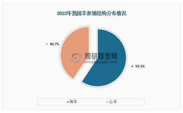 从结构来看，我国羊养殖主可分为绵羊养殖和山羊养殖，其中绵羊养殖占比为59.3%，而山羊养殖占比为40.7%。