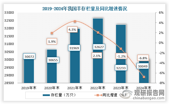从存栏量来看，2019年末到2024年末我国羊存栏量为先增后降趋势，截至2024年末我国羊存栏量为30049万只，比上年末减少2183万只，同比下降6.8%。