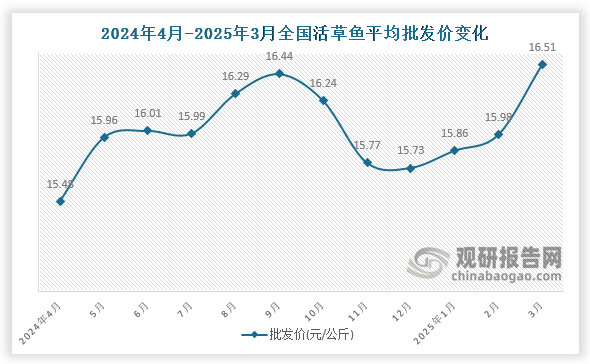 數(shù)據(jù)顯示，近十二月全國活草魚平均批發(fā)價呈先升后降再升趨勢。2025年3月全國活草魚平均批發(fā)價為16.51元/公斤，環(huán)比增長3.3%，同比增長6.7%。