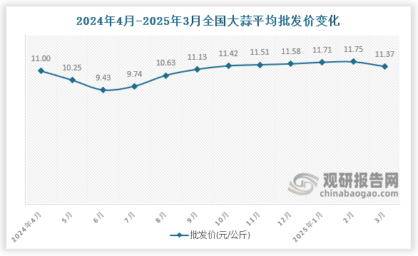 數(shù)據(jù)顯示，近十二月全國大蒜平均批發(fā)價呈先降后升再降趨勢。2025年3月全國大蒜平均批發(fā)價為11.37元/公斤，環(huán)比下降3.2%，同比增長3.4%。