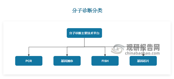 分子診斷行業(yè)主要依托四大技術(shù)平臺(tái)，可以分為PCR、基因測(cè)序、FISH和基因芯片，四大技術(shù)平臺(tái)的學(xué)術(shù)理論出現(xiàn)時(shí)間較早，現(xiàn)已發(fā)展成為各自領(lǐng)域的基石技術(shù)，在此基礎(chǔ)上新技術(shù)分支踴躍呈現(xiàn)，新技術(shù)從研發(fā)到臨床應(yīng)用的產(chǎn)業(yè)化速度大大加快?；驕y(cè)序技術(shù)是最前沿的分子檢測(cè)技術(shù)之一，目前商業(yè)化較成熟的為第二代測(cè)序技術(shù)（NGS），適用于高通量分析，可檢測(cè)多個(gè)突變位點(diǎn)，檢測(cè)時(shí)間較長(zhǎng)，成本較高。