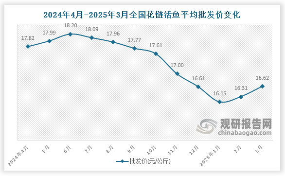 數(shù)據(jù)顯示，近十二月全國花鏈活魚平均批發(fā)價(jià)呈先升后降再升趨勢(shì)。2025年3月全國花鏈活魚平均批發(fā)價(jià)為16.62元/公斤，環(huán)比增長1.9%，同比下降6.7%。
