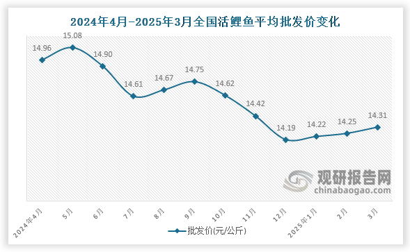 數(shù)據(jù)顯示，近十二月全國活鯉魚平均批發(fā)價呈先升后降再升趨勢。2025年3月全國活鯉魚平均批發(fā)價為14.31元/公斤，環(huán)比增長0.4%，同比下降4.3%。