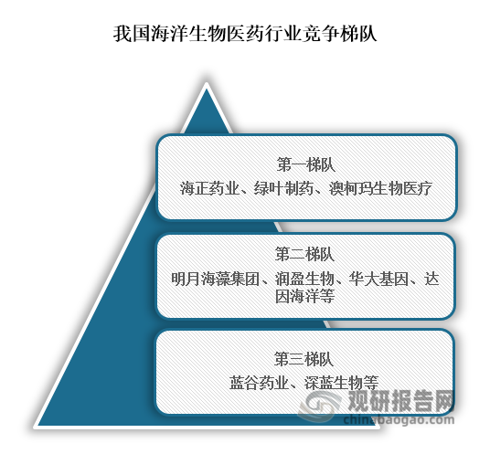 从行业竞争梯队来看，我国海洋生物医药行业主要可分为三个竞争梯队，其中位于行业第一梯队的企业为海正药业、绿叶制药、澳柯玛生物医疗，这些企业在海洋生物医药全产业链布局均有布局，且有部分相关产品已经上市；位于行业第二梯队的企业为明月海藻集团、润盈生物、华大基因、达因海洋等，这些企业主要聚集在细分赛道，形成差异化优势；位于行业第三梯队的企业为蓝谷药业、深蓝生物等，这些企业在产品研发上面主要依赖外包研发，自主研发能力较弱。