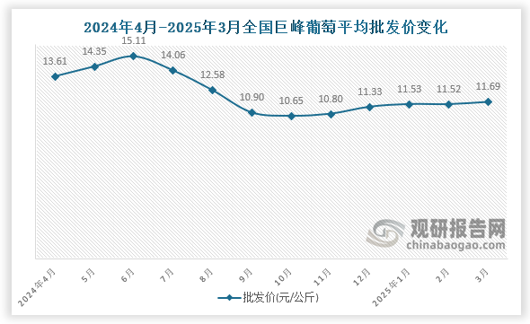 数据显示，近十二月全国巨峰葡萄平均批发价呈先升后降再升趋势。2025年3月全国巨峰葡萄平均批发价为11.69元/公斤，环比增长1.5%，同比下降14.1%。
