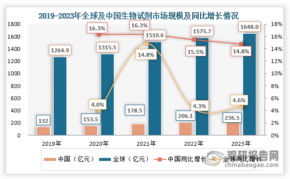 近年來(lái)，在生命科學(xué)研究投入持續(xù)加大、生物醫(yī)藥和體外診斷產(chǎn)業(yè)蓬勃發(fā)展以及政策支持、技術(shù)進(jìn)步等多重因素推動(dòng)下，我國(guó)生物試劑行業(yè)展現(xiàn)出強(qiáng)勁的發(fā)展勢(shì)頭，市場(chǎng)規(guī)模快速擴(kuò)容，且增速顯著領(lǐng)先全球。數(shù)據(jù)顯示，2019-2023年間，我國(guó)生物試劑市場(chǎng)規(guī)模從132億元快速擴(kuò)張至236.5億元，實(shí)現(xiàn)15.69%的年均復(fù)合增長(zhǎng)率。相比之下，同期全球市場(chǎng)規(guī)模從1264.9億元（175億美元）增至1648億元（228億美元），年均增速僅為6.84%，各年度同比增幅均明顯低于我國(guó)市場(chǎng)表現(xiàn)。