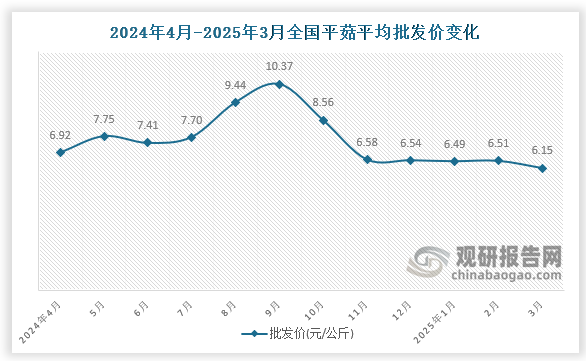 数据显示，近十二月全国平菇平均批发价呈先升后降趋势。2025年3月全国平菇平均批发价为6.15元/公斤，环比下降5.5%，同比下降11.1%。