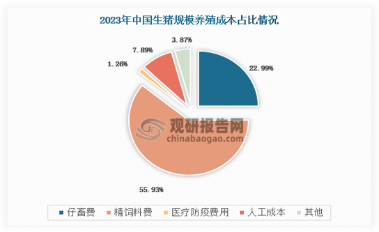 具体来看，生猪散养成本优势主要集中在仔畜费和精饲料费方面，而规模化养殖成本优势主要集中在人工成本项目，2023年我国生猪规模化养殖人工成本较散养人工成本便宜2倍左右，经济效益差异明显。