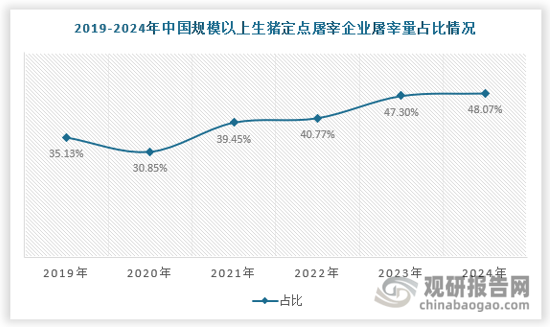 在相关政策及行业技术进步的推动下，我国屠宰行业正处于快速整合发展阶段。根据农业农村部数据，我国规模以上生猪定点屠宰企业屠宰量从2019年的19116万头增长至2024年的33773万头，占比由2019年的35.13%提升至2024年的48.07%，行业集中度不断提升。随着消费者对肉类产品的标准提高及需求增加，我国生猪屠宰行业将向着规模化、自动化和智能化发展。