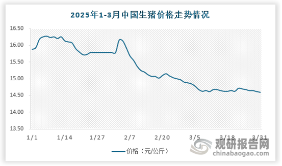 2025年1-3月由于国内节后消费惯性回落，生猪养殖端出栏量速不减，且产能对应供给压力继续增加，猪价持续探底。2025年3月，全国生猪平均价格15.36元/公斤，环比下跌4.02%，连续7个月环比下跌，跌幅继续扩大，且跌至近11个月最低价；但同比2024年同期上涨2.74%。