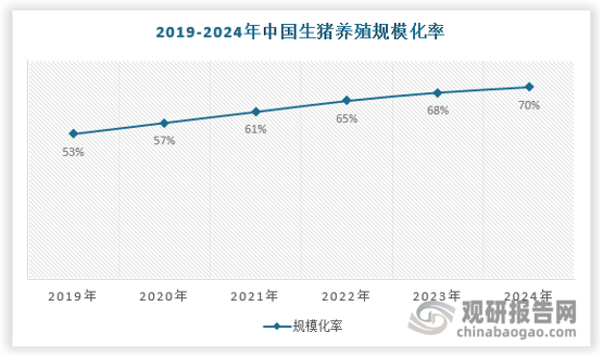我国生猪养殖业长期以散养为主，行业集中度较低，散养户、中小规模养殖场数量众多。近几年国内生猪养殖行业规模化集中度有所提升，产业正朝高质量发展迈进，以满足人民日益增长的高品质猪肉需求。2024年，我国生猪养殖规模化水平继续提升，标准化、智能化等先进技术、设备加快应用，带动了行业整体素质的提升。农业农村部2024年全国生猪养殖规模化率预计超过70%，同比提高约2个百分点。