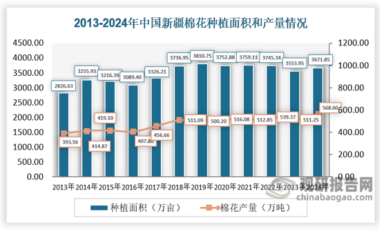 新疆是我国棉花重点产区，近年来，我国棉花种植不断向新疆地区集中，新疆地区棉花种植面积占比不断提升。2013-2024年间，新疆棉花种植面积连续11年保持在3000万亩以上，产量连续7年保持在500万吨以上。2024年，新疆棉花种植面积和产量分别为3671.85万亩、568.6万吨，同比分别增长3.32%、11.22%。新疆下辖的14个州市地均涉及棉花规模化生产，生产建设兵团、阿克苏地区、喀什地区、塔城地区、巴音郭楞蒙古自治州棉花产量常年稳居全区前5位。