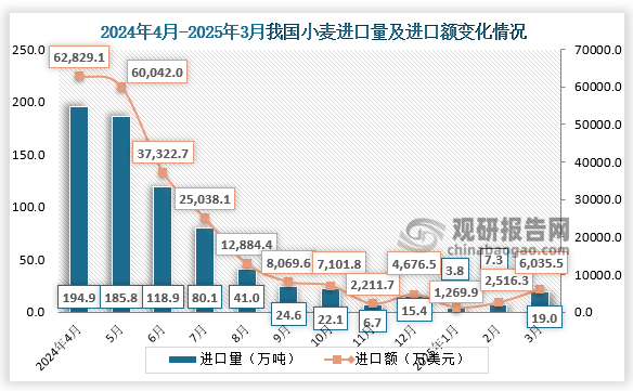 2025年3月，我国小麦进口量为19万吨，进口额为6035.5万美元。