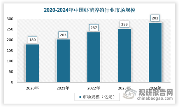 从市场规模来看，近年来，中国虾苗养殖市场呈现出稳定增长的趋势。据统计，我国虾苗年产量已超过万亿尾，随着国内外对虾类产品的需求不断增加，虾苗市场需求持续旺盛。特别是在国内外市场对优质虾苗的需求驱动下，我国虾苗市场规模逐年扩大，已成为全球最大的虾苗生产国之一。截至2024年，我国虾苗养殖行业市场规模已达到282亿元。