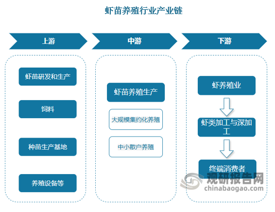 <strong>虾苗养殖行业产业链</strong>