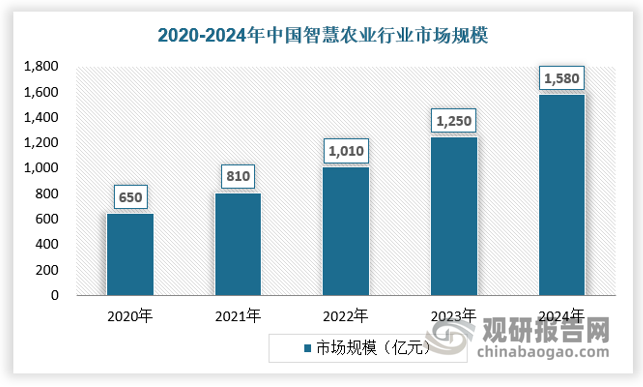 2020年我国智慧农业市场规模为650亿元，2024年已经达到1580亿元。未来中国智慧农业市场规模将在2025年突破1600亿元。观研天下预计到2030年我国智慧农业市场规模将达到3800亿。