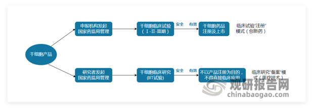 <strong>我国干细胞产品监管模式</strong>
