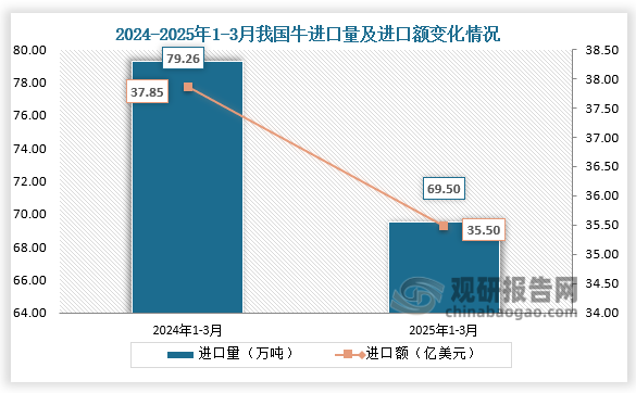 数据显示，2025年1-3月我国牛进口量为69.50万吨，同比下降12.3%；进口额为35.5亿美元，同比下降6.2%。