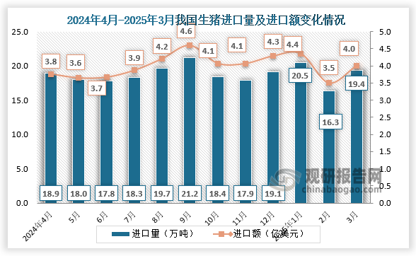 2025年3月，我國生豬進(jìn)口量為19.4萬(wàn)噸，進(jìn)口額為4億美元。