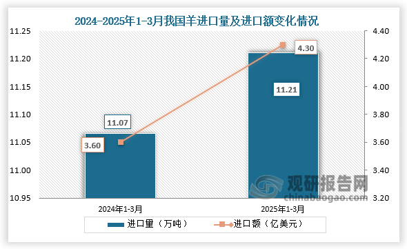数据显示，2025年1-3月我国羊进口量为11.21万吨，同比增长1.3%；进口额为4.3亿美元，同比增长19.4%。
