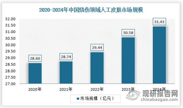 医用人工皮肤是利用工程学和细胞生物学的原理和方法，在体外使用的皮肤替代、修复组织，在治疗烧伤、烫伤方面应用较多。现有的医用人工皮肤在附着在烧伤皮肤后，主要使用药物或人体的自愈能力使细胞生长、恢复。2024年中国烧伤领域人工皮肤市场规模约为31.43亿元，具体如下：