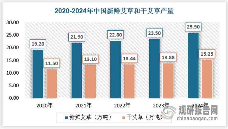近年来我国艾草产量不断增长，根据数据显示，2024年我国新鲜艾草产量已经达到25.9万吨；干艾草产量则达到15.25万吨。具体如下：