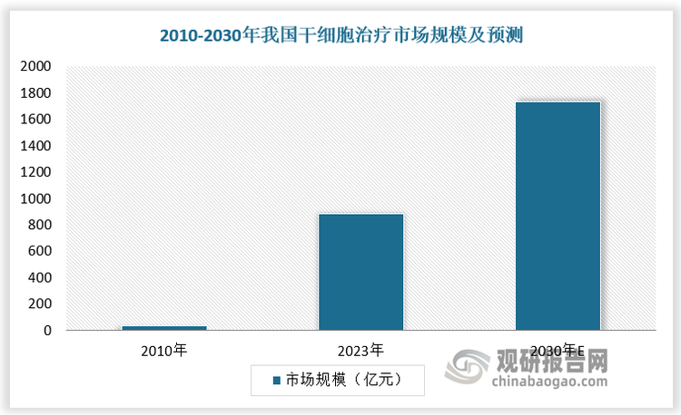 政策支持疊加資本關(guān)注，我國干細胞治療行業(yè)展現(xiàn)出強勁發(fā)展勢頭，預(yù)計2030年我國干細胞治療市場規(guī)模突破1700億元。
