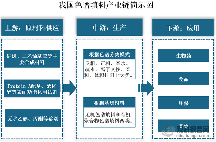 具体来看，我国色谱填料产业链上游为原材料供应环节，包括硅烷、二乙烯基苯等主要合成材料，Protein A配基、杂化醇等表面功能化用试剂，无水乙醇、丙酮等溶剂。中游为色谱填料生产环节，其产品可按两大维度分类：依据色谱分离模式，可分为反相、正相、亲水、疏水、离子交换、亲和及体积排阻七大类；依据基质材料，则主要分为无机色谱填料和有机聚合物色谱填料两大类别。下游为应用领域，包括生物药、食品、环保等行业。