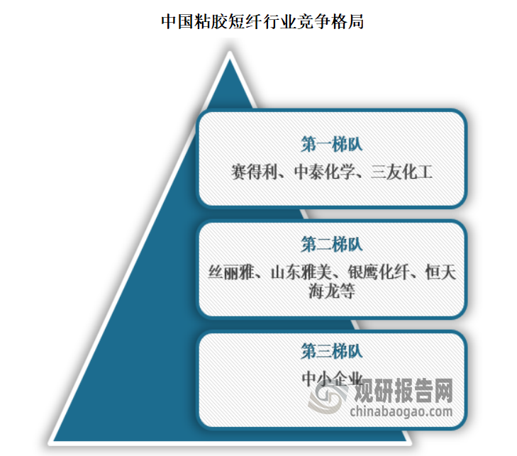 目前國內(nèi)的粘膠短纖龍頭以外資或國有企業(yè)為主，頭部企業(yè)通過收購以及擴張?zhí)嵘卸龋ㄙ惖美群笫召徑鼾堖_、江蘇翔盛以及阜寧澳洋，絲麗雅收購瑪納斯澳洋、中泰化學收購富麗達），中國粘膠纖維行業(yè)已形成 “一超多強” 的格局，賽得利、中泰化學、三友化工三足鼎立的局面。