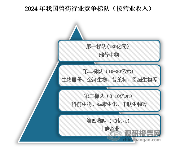 从行业竞争格局来看，我国兽药行业可分为四个竞争梯队，其中位于行业第一梯队的企业为瑞普生物，营业收入在30亿元以上；位于行业第二梯队的企业为生物股份、金河生物、普莱柯、回盛生物等，营业收入在10亿元到30亿元之间；位于行业第三梯队的企业为科前生物、绿康生化、申联生物等，营业收入3亿元到10亿元；位于行业第四梯队的企业为其他企业，营业收入在3亿元以下。