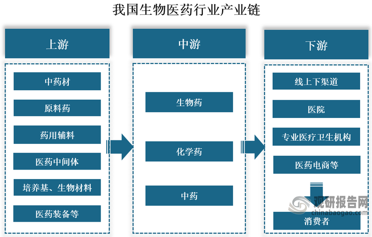 產(chǎn)業(yè)鏈來(lái)看，我國生物醫藥行業(yè)產(chǎn)業(yè)鏈上游主要為中藥材、原料藥、醫藥中間體、藥用輔料、培養基、生物材料、醫藥裝備等；中游包括各類(lèi)生物藥、化學(xué)藥、中藥；下游藥品流至各種線(xiàn)下渠道及線(xiàn)上渠道，最終到達終端消費者手中。