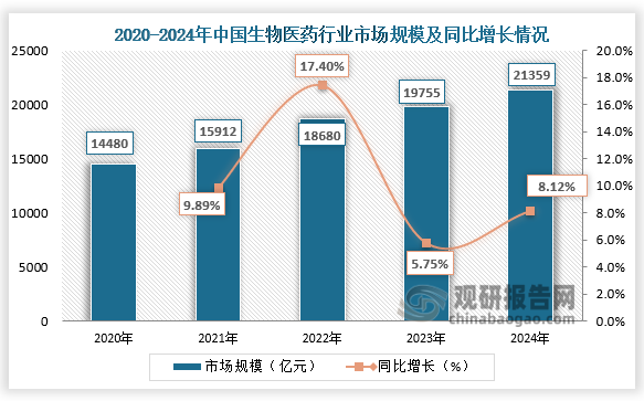 市場(chǎng)規模來(lái)看，2020-2024年，我國生物醫藥行業(yè)市場(chǎng)規模呈穩步增長(cháng)。2024年我國生物醫藥行業(yè)市場(chǎng)規模約為21359億元，同比增長(cháng)8.12%。