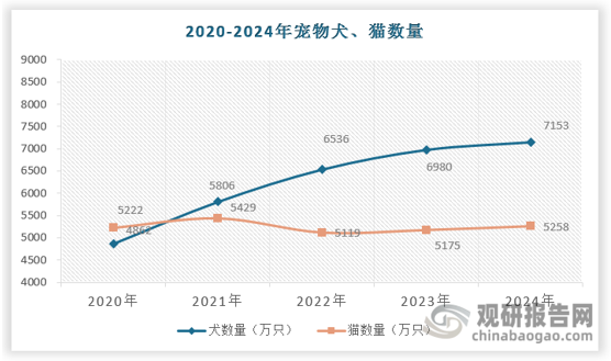 我国宠物市场从90年代开始萌芽，2000年中国的首场犬展在北京展开，品种犬正式走入大众视野，伴随着禁养令《家犬管理条例》在1998年废除，宠物犬在中国迎来黄金发展期，至2018年国内犬的数量已超过5000万只，但2020年新增犬数量开始放缓，进入低个位数增长的时代。由于生活节奏加快，人们无暇遛狗陪伴、居住环境对养狗限制增多，养狗的门槛变高。相较之下，猫更易养，符合年轻人的生活习惯。2014年前后养猫兴起成功接力，截至2024年中国猫的数量已超过7000万只。
