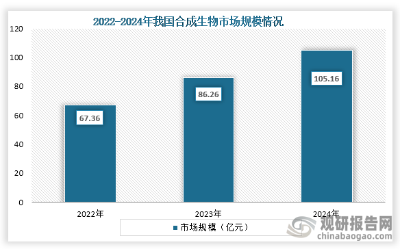 从合成生物市场来看，2022年到2024年我国合成生物市场规模从67.36亿元增长到了105.16亿元，连续三年市场稳定增长。
