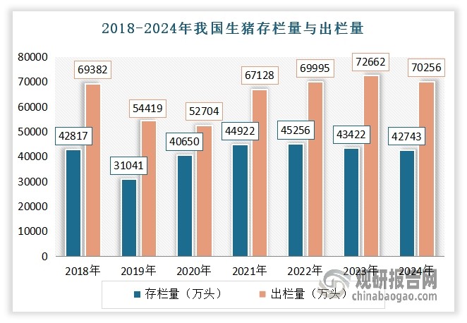 近年来，随着国家对农业现代化的推进和消费者对高品质动物性产品的需求增加，我国畜牧业得到了快速发展。目前，我国畜牧业已经形成了较为完整的产业链和市场体系，养殖规模不断扩大，养殖技术不断提高，产品质量和产量也得到了显著提升。根据数据显示，2024年，我国能繁育母猪存栏量4078万头，生猪存栏4.27亿头,出栏量7.03亿头；牛存栏量10047万头，出栏量5099万；羊存栏量30049万只，出栏量32359万只。
