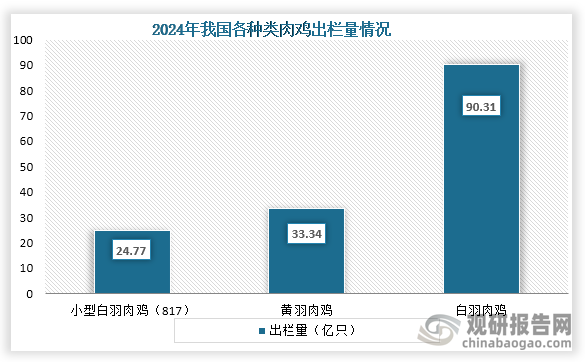 从出栏量来看，在2024年我国肉鸡总出栏数量148.42亿只，与2023年相比增加18.2亿只，其中出栏量最高的为白羽肉鸡，出栏量为90.31亿只；其次为黄羽肉鸡，出栏量为33.34亿只；第三为小型白羽肉鸡（817），出栏量为24.77亿只。