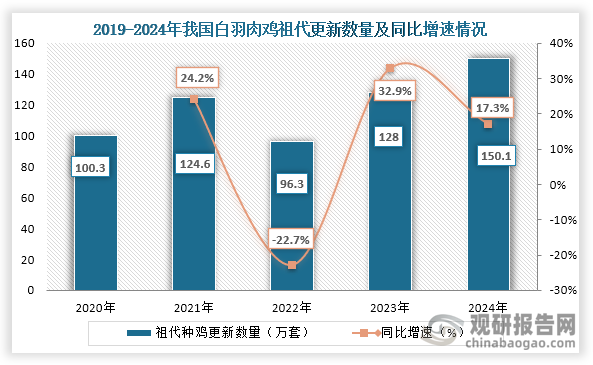 从白羽肉鸡祖代更新数量来看，2022年之后我国白羽肉鸡祖代更新数量持续增长，到2024年我国白羽肉鸡祖代年度更新150.07万套，同比增长17.25%，接近2013年154.16万套的历史最高位水平。