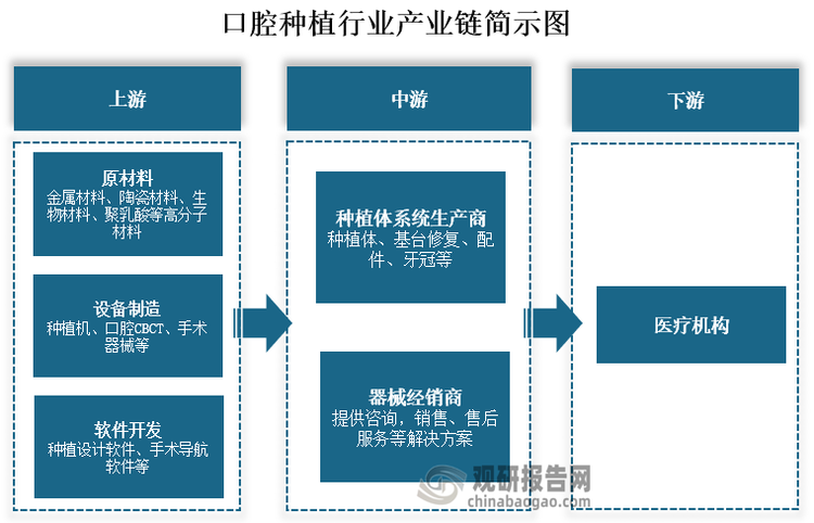 從產(chǎn)業(yè)鏈來看，口腔種植上游為原材料、設(shè)備制造、軟件開發(fā)。其中原材料與核心部件包括金屬材料、陶瓷材料、生物材料、聚乳酸等高分子材料；設(shè)備制造主要包括種植機、口腔CBCT、手術(shù)器械等；軟件開發(fā)包括種植設(shè)計軟件、手術(shù)導(dǎo)航軟件等。中游為種植體系統(tǒng)生產(chǎn)商和器械經(jīng)銷商，其中種植體系統(tǒng)生產(chǎn)商的主要產(chǎn)品包括種植體、基臺修復(fù)、配件、牙冠等；器械經(jīng)銷商則提供咨詢，銷售、售后服務(wù)等解決方案。下游為醫(yī)療機構(gòu)提供口腔種植服務(wù)。