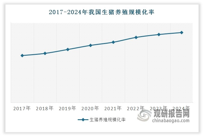 与此同时，规模化养殖企业如温氏股份、牧原股份等不断涌现，它们对兽药的采购量巨大，且需求稳定，成为推动兽药市场发展的重要力量。规模化养殖是指畜禽存栏量达到政府或行业制定标准的集约化养殖方式。近年随着畜牧行业的不断发展，规模化养殖已成为主流趋势。例如2024年我国生猪养殖规模化率已超70%，头部猪企完全养殖成本进入“6元/斤区间”；奶牛牧场存栏百头以上规模养殖比例达到76%，同比提高4个百分点。