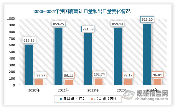 我国作为全球最大的鹿茸消费市场，国内产量难以满足需求，长期依赖进口补充。数据显示，近年来我国鹿茸进口量整体呈现上升态势，由2020年的613.13吨增长至2024年的925.20吨，年均复合增长率达10.83%；同期出口量呈现波动上升趋势，2024年达到96.01吨，同比增长8.89%。值得注意的是，我国鹿茸净出口量和贸易逆差额均整体上升。前者由2020年的524.26吨增长至2024年的829.19吨，年均复合增长率达12.14%；后者则由0.5亿元增长至2.83亿元，年均复合增长率达54.24%。