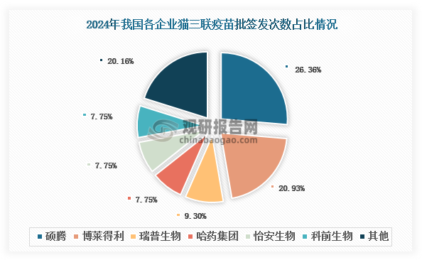 隨著國(guó)產(chǎn)貓三聯(lián)疫苗本土化優(yōu)勢(shì)的加速顯現(xiàn)，2024年我國(guó)貓三聯(lián)疫苗市場(chǎng)競(jìng)爭(zhēng)格局發(fā)生重大變革，徹底打破了碩騰長(zhǎng)期“一家獨(dú)大”的壟斷局面。批簽發(fā)數(shù)據(jù)顯示，2024年碩騰貓三聯(lián)疫苗批簽發(fā)次數(shù)占比降至26.36%。與此同時(shí)，國(guó)產(chǎn)陣營(yíng)表現(xiàn)亮眼：博萊得利以20.93%的市場(chǎng)占比快速崛起，領(lǐng)跑國(guó)產(chǎn)企業(yè)；瑞普生物、惠中動(dòng)保等企業(yè)也保持良好增長(zhǎng)態(tài)勢(shì)，共同推動(dòng)市場(chǎng)格局向多元化方向發(fā)展。