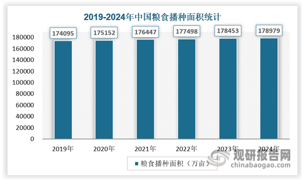 农业是我国国民经济的基础，也是我国社会主义初级阶段经济发展战略目标的一个重点。在农业中，粮食又占有头等重要的地位，可以说是基础的基础。粮食生产的发展关系到经济建设的速度和规模，关系到全体人民的生活水平。因此，国家十分重视粮食生产。近年来，我国粮食作物播种面积及产量保持稳定增长，播种面积从2019年的174095万亩增长至2023年的178979万亩，2024年比2023年增加351千公顷（526万亩），增长0.3%。其中谷物播种面积100458千公顷（150687万亩），比2023年增加532千公顷（797万亩），增长0.5%。