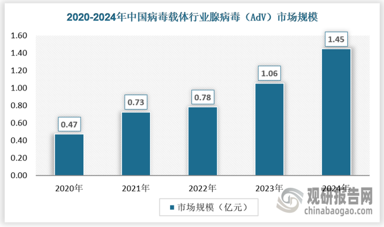 腺病毒（Adenovirus,AdV）作为病毒载体领域的重要成员，在基因治疗、疫苗研发等生物医学领域发挥着关键作用。其具有独特的生物学特性，如基因组相对较大，可容纳一定长度的外源基因；能够高效感染多种细胞类型，包括分裂和非分裂细胞；且在人体中广泛存在，对其生物学特性及免疫反应的研究较为深入。近年来，随着生物技术的飞速发展，腺病毒载体技术不断革新，为其在更多疾病治疗和预防中的应用提供了广阔空间，市场规模保持快速增长。截至2024年，我国腺病毒（AdV）市场规模达到1.45亿元。
