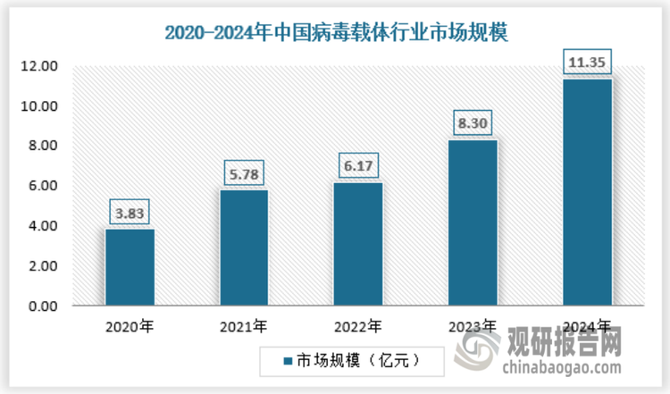 病毒载体是目前临床试验中使用最为广泛的一类载体。它可作为最终产品将目的基因注入体内达到吸料效果，也可以作为中间载体，在体外将目的基因转染整合至目标细胞中并制成细胞产品后会输。此外，非病毒基因编辑技术也大量依赖病毒作为运送基因编辑配件的载体。同时病毒载体也是细胞与基因治疗（CGT）的重要物料和CGT药物商业化的核心，而伴随着细胞治疗和基因治疗的高速发展，病毒载体生产行业正在迎来重大利好。2024年我国病毒载体行业市场规模约为11.35亿元，具体如下：