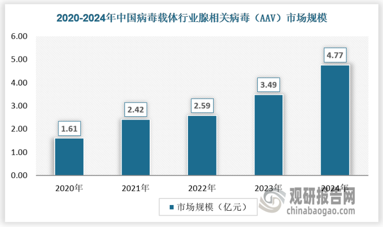 腺相关病毒（AAV）是病毒载体中最主要的病毒种类，随着病毒载体应用增加，腺相关病毒（AAV）市场规模保持快速增长，2020-2024年，市场规模从1.61亿元增长至4.77亿元，复合增长率达到33.27%。