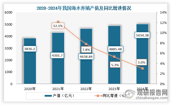 从产值来看，2020年到2024年我国海水养殖产值持续增长，到2024年我国海水养殖产值为5034.38亿元，同比增长3.0%。