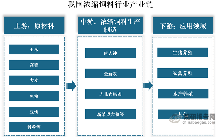 从产业链来看，我国浓缩饲料行业产业链上游主要包括玉米、高粱、大麦、鱼粉、豆饼、骨粉、石粉等原材料；中游是指浓缩饲料的生产制造，代表企业有唐人神、金新农、大北农集团、新希望六和等；下游为应用领域，即养殖行业，主要包括生猪养殖、家禽养殖、水产养殖等。